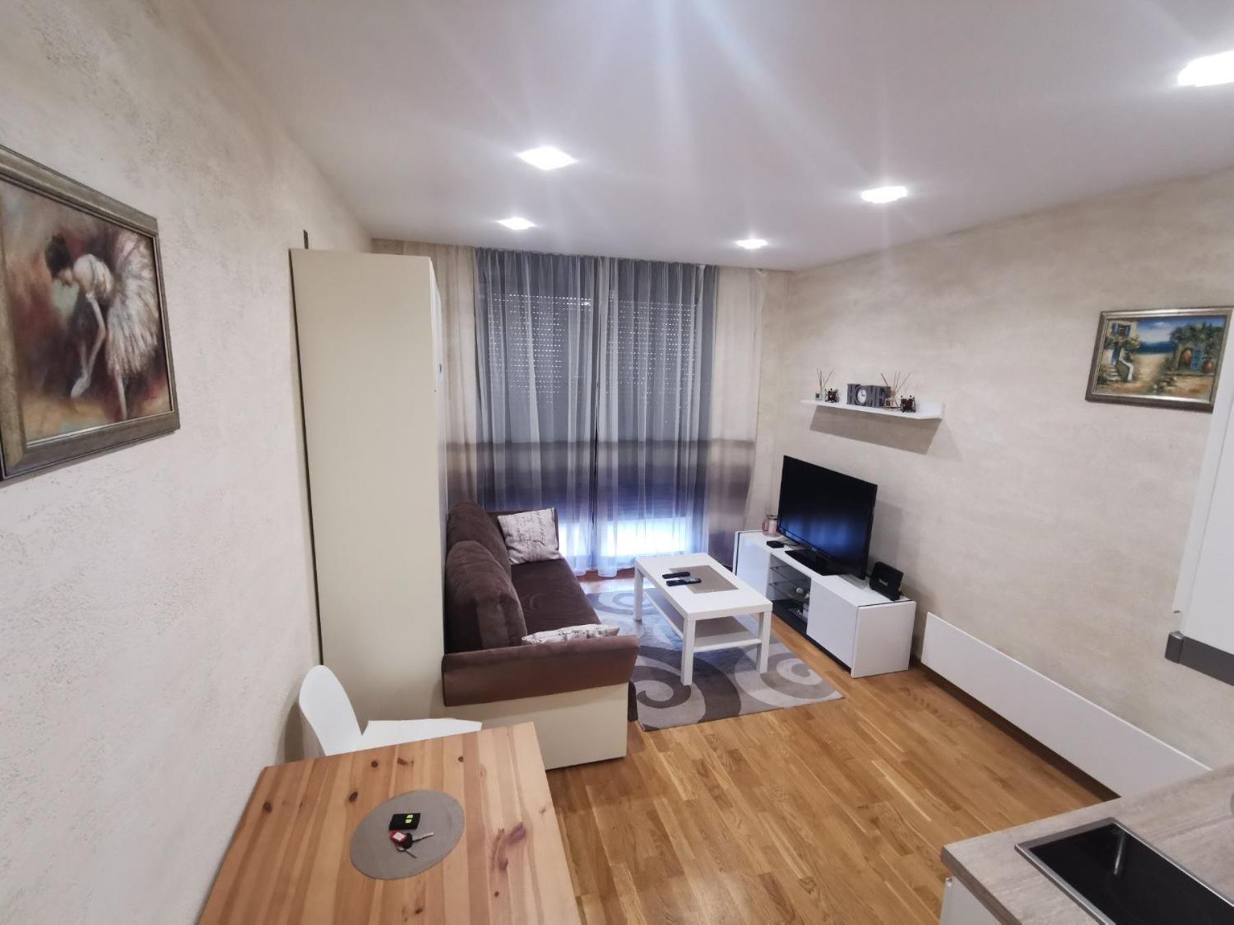 Danilovic Apartment *