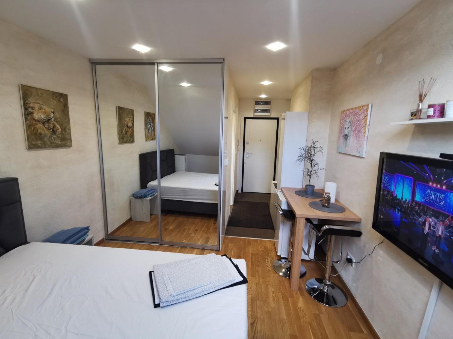 Apartment Danilovic *
