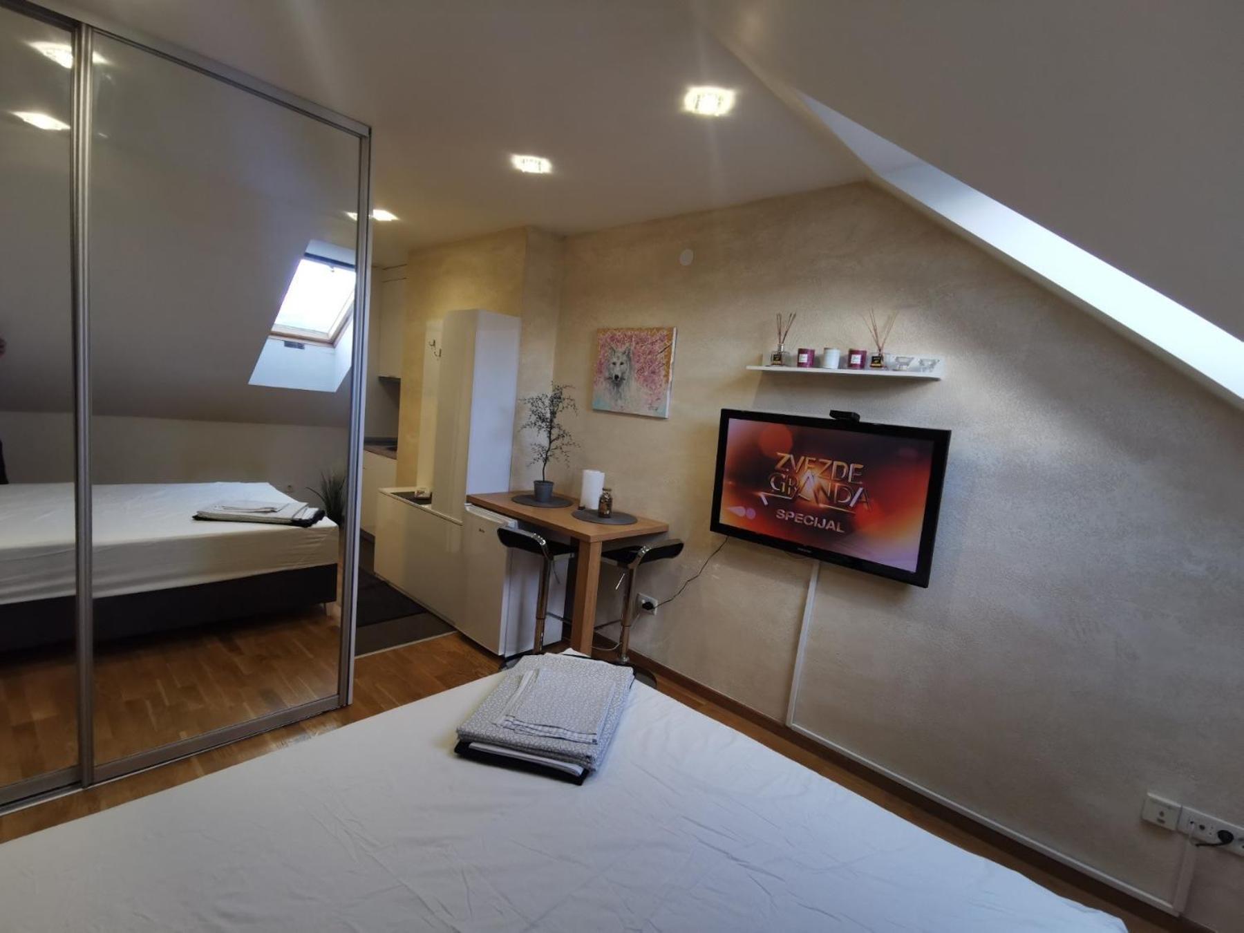 Apartment Danilovic *